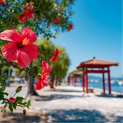 アリスの店内イメージ